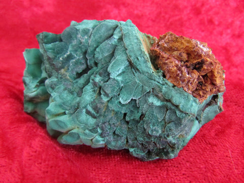 Bisbee Malachite with Matrix - Bisbeeborn