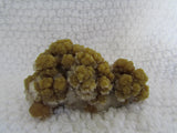 Mimetite