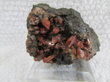 Rhodochrosite