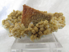 Siderite PS Calcite