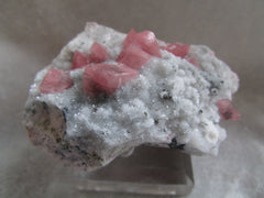 Rhodochrosite-SOLD