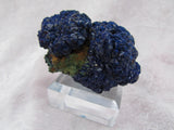 La Sal Azurite - Bisbeeborn - 1