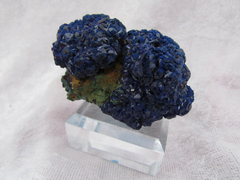 La Sal Azurite - Bisbeeborn - 1