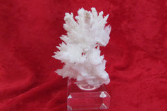 Aragonite- SOLD - Bisbeeborn - 1