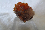 Los Lamentos Wulfenite - Bisbeeborn - 3