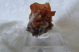 Los Lamentos Wulfenite - Bisbeeborn - 4