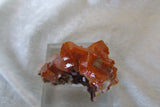 Los Lamentos Wulfenite - Bisbeeborn - 5