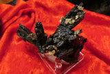 Azurite - Bisbeeborn - 5