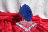 Australian Azurite Sun - Bisbeeborn - 2