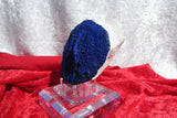 Australian Azurite Sun - Bisbeeborn - 3