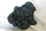 African Malachite - Bisbeeborn - 2
