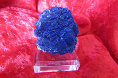 Old Stock Morenci Azurite - Bisbeeborn - 1