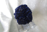 Old Stock Morenci Azurite - Bisbeeborn - 2