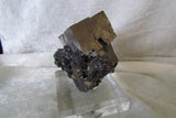 Galena - Bisbeeborn - 4
