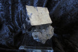 Galena - Bisbeeborn - 2