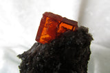 Red Cloud Wulfenite - SOLD - Bisbeeborn - 1