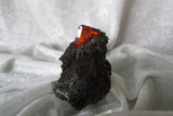 Red Cloud Wulfenite - SOLD - Bisbeeborn - 3