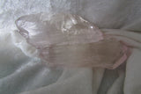 Spodumene var. Kunzite - Bisbeeborn - 2