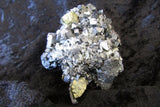 Sulfide Combo - Bisbeeborn - 2