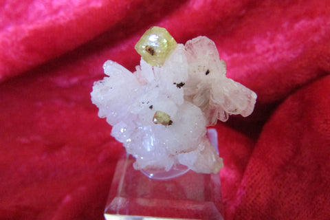 Hemimorphite with Adamite - Bisbeeborn - 1