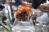 Los Lamentos Wulfenite - Bisbeeborn - 6