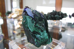 Milpillas  Azurite with Malachite - Bisbeeborn - 1