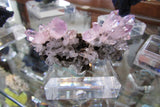 Amethyst - Bisbeeborn - 2