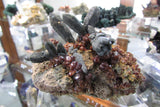 Quartz-SOLD - Bisbeeborn - 3