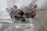 Amethyst - Bisbeeborn - 3
