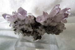 Amethyst - Bisbeeborn - 1