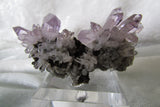 Amethyst - Bisbeeborn - 4