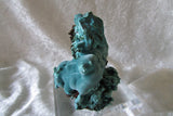 Rosasite - Bisbeeborn - 4