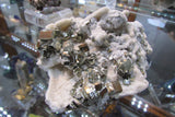 Pyrite on Quartz - Bisbeeborn - 5