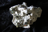 Pyrite on Quartz - Bisbeeborn - 2