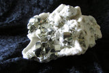 Pyrite on Quartz - Bisbeeborn - 3