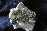 Pyrite on Quartz - Bisbeeborn - 4