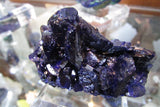 Milpillas Azurite-SOLD - Bisbeeborn - 1