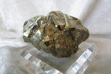Pyrite - Bisbeeborn - 2