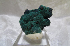 La Sal Azurite-Malachite Miniature - Bisbeeborn - 1