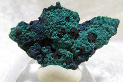 La Sal Azurite- Malachite Miniature - Bisbeeborn - 1