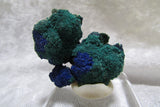 La Sal Azurite- Malachite Miniature - Bisbeeborn - 3