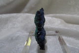 La Sal Azurite-Malachite Thumbnail. - Bisbeeborn - 3