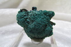 La Sal Azurite-Malachite Thumbnail - Bisbeeborn - 1