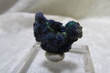 La Sal Azurite-Malachite Thumbnail - Bisbeeborn - 2