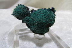 La Sal Azurite-Malachite Thumbnail - Bisbeeborn - 1