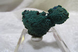 La Sal Azurite-Malachite Thumbnail - Bisbeeborn - 3