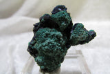 La Sal Azurite-Malachite Thumbnail - Bisbeeborn - 2