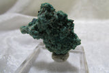 La Sal Azurite-Malachite Thumbnail - Bisbeeborn - 3