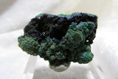 La Sal Azurite-Malachite Thumbnail - Bisbeeborn - 1