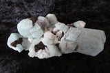 Amazonite - Bisbeeborn - 1